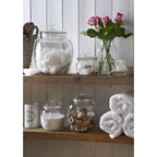 Universal Storage Jar, 850ml