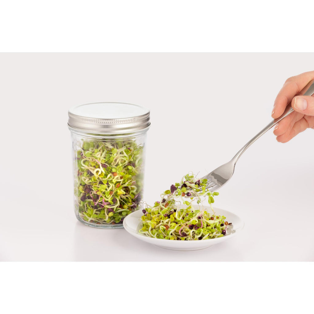Sprouting Set, 350ml
