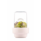 Sprouting Set, 350ml