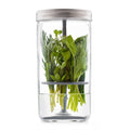 Clear glass container with silver lid holding fresh green herbs on a white background