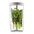 Clear glass container with silver lid holding fresh green herbs on a white background